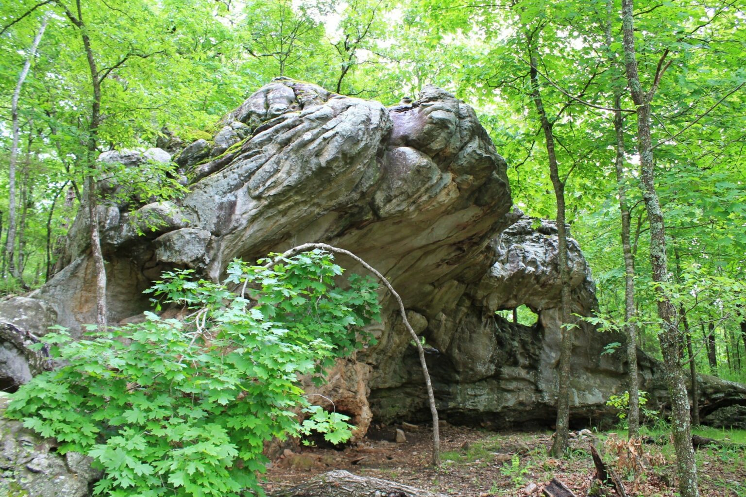 Lake Leatherwood City Park - Hiking Biking Boating & More 5 Ojo