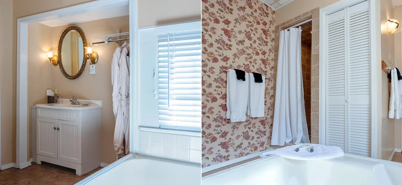 Hummingbird room bath